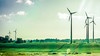 Grünes Licht für Windparkbetreiber - Umweltverband scheitert vor dem VGH Baden-Württemberg